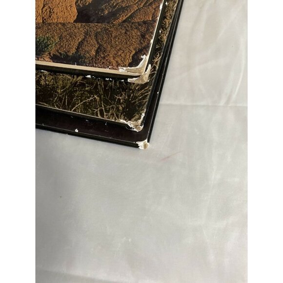 The American Wilderness Time Life Books Lot 3 Illustrated HC 1970s Used Library - Picture 4 of 12